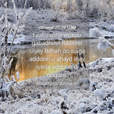Picture 04 - Bilowgii 29:29 SOM - Laabaanna wuxuu gabadhiisii Raaxeel siiyey Bilhah - Bible Verse Picture