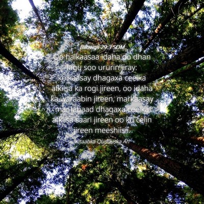 Picture 04 - Bilowgii 29:3 SOM - Oo halkaasaa idaha oo dhan lagu soo ururin jiray: - Bible Verse Picture