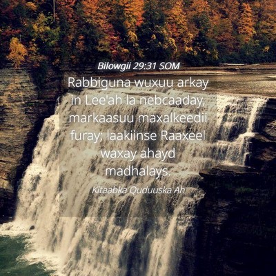 Picture 04 - Bilowgii 29:31 SOM - Rabbiguna wuxuu arkay in Lee'ah la nebcaaday, - Bible Verse Picture