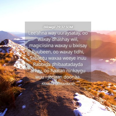 Picture 04 - Bilowgii 29:32 SOM - Lee'ahna way uuraysatay, oo waxay dhashay wiil, - Bible Verse Picture