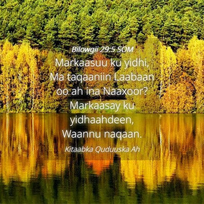 Picture 04 - Bilowgii 29:5 SOM - Markaasuu ku yidhi, Ma taqaaniin Laabaan oo ah - Bible Verse Picture