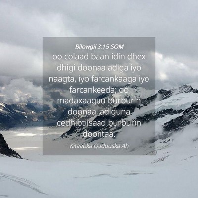 Picture 04 - Bilowgii 3:15 SOM - oo colaad baan idin dhex dhigi doonaa adiga iyo - Bible Verse Picture