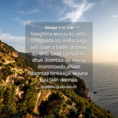 Picture 04 - Bilowgii 3:16 SOM - Naagtiina wuxuu ku yidhi, Dhibtaada iyo - Bible Verse Picture
