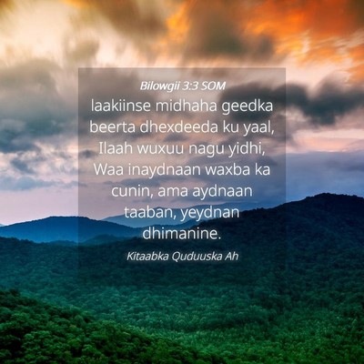 Picture 04 - Bilowgii 3:3 SOM - laakiinse midhaha geedka beerta dhexdeeda ku - Bible Verse Picture