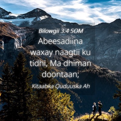 Picture 04 - Bilowgii 3:4 SOM - Abeesadiina waxay naagtii ku tidhi, Ma dhiman - Bible Verse Picture