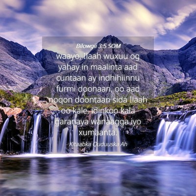 Picture 04 - Bilowgii 3:5 SOM - waayo, Ilaah wuxuu og yahay in maalinta aad - Bible Verse Picture