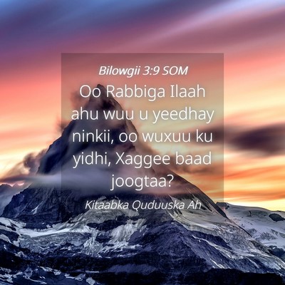 Picture 04 - Bilowgii 3:9 SOM - Oo Rabbiga Ilaah ahu wuu u yeedhay ninkii, oo - Bible Verse Picture
