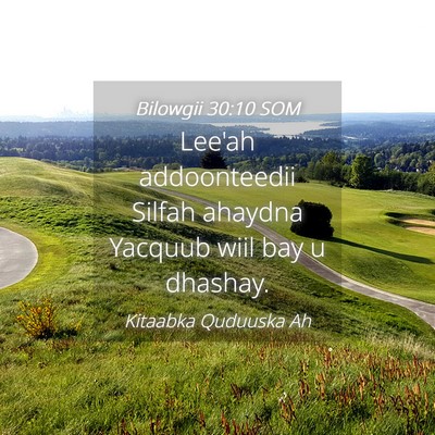 Picture 04 - Bilowgii 30:10 SOM - Lee'ah addoonteedii Silfah ahaydna Yacquub wiil - Bible Verse Picture