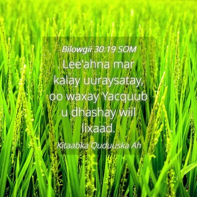 Picture 04 - Bilowgii 30:19 SOM - Lee'ahna mar kalay uuraysatay, oo waxay Yacquub u - Bible Verse Picture