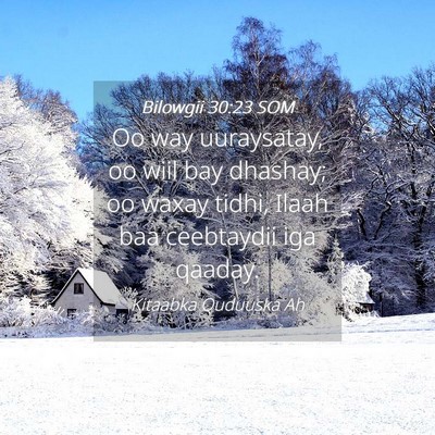 Picture 04 - Bilowgii 30:23 SOM - Oo way uuraysatay, oo wiil bay dhashay; oo waxay - Bible Verse Picture