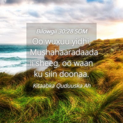 Picture 04 - Bilowgii 30:28 SOM - Oo wuxuu yidhi, Mushahaaradaada ii sheeg, oo waan - Bible Verse Picture