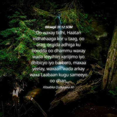 Picture 04 - Bilowgii 31:12 SOM - Oo waxay tidhi, Haatan indhahaaga kor u taag, oo - Bible Verse Picture