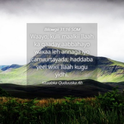 Picture 04 - Bilowgii 31:16 SOM - Waayo, kulli maalkii Ilaah ka qaaday aabbahayo - Bible Verse Picture