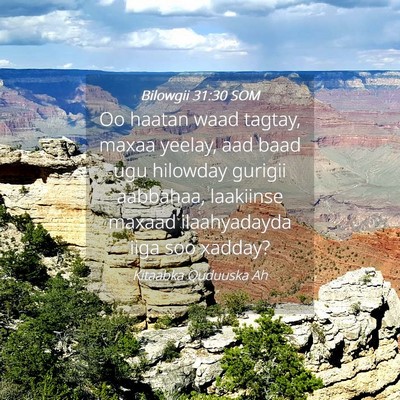 Picture 04 - Bilowgii 31:30 SOM - Oo haatan waad tagtay, maxaa yeelay, aad baad ugu - Bible Verse Picture