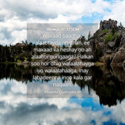 Picture 04 - Bilowgii 31:37 SOM - Waxaad baadhay alaabtayda oo dhan, ee maxaad ka - Bible Verse Picture