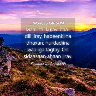 Picture 04 - Bilowgii 31:40 SOM - Maalintii kulayl baa i dili jiray, habeenkiina - Bible Verse Picture