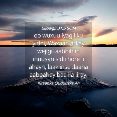 Picture 04 - Bilowgii 31:5 SOM - oo wuxuu iyagii ku yidhi, Waxaan arkay wejigii - Bible Verse Picture