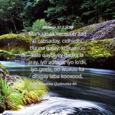 Picture 04 - Bilowgii 32:7 SOM - Markaasaa Yacquub aad u cabsaday, cidhiidhi buuna - Bible Verse Picture