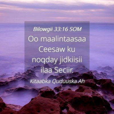 Picture 04 - Bilowgii 33:16 SOM - Oo maalintaasaa Ceesaw ku noqday jidkiisii ilaa - Bible Verse Picture
