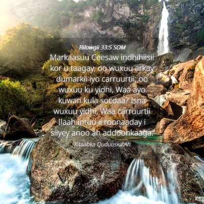 Picture 04 - Bilowgii 33:5 SOM - Markaasuu Ceesaw indhihiisii kor u taagay, oo - Bible Verse Picture