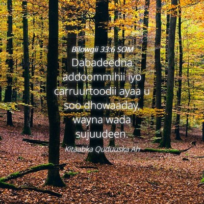 Picture 04 - Bilowgii 33:6 SOM - Dabadeedna addoommihii iyo carruurtoodii ayaa u - Bible Verse Picture