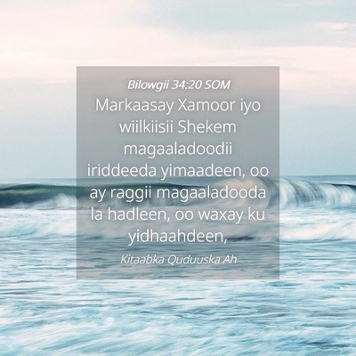 Picture 04 - Bilowgii 34:20 SOM - Markaasay Xamoor iyo wiilkiisii Shekem - Bible Verse Picture