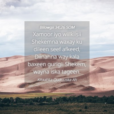 Picture 04 - Bilowgii 34:26 SOM - Xamoor iyo wiilkiisii Shekemna waxay ku dileen - Bible Verse Picture
