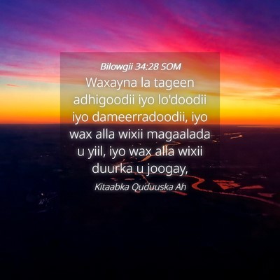 Picture 04 - Bilowgii 34:28 SOM - Waxayna la tageen adhigoodii iyo lo'doodii iyo - Bible Verse Picture