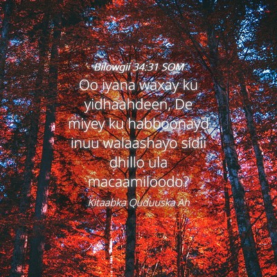 Picture 04 - Bilowgii 34:31 SOM - Oo iyana waxay ku yidhaahdeen, De miyey ku - Bible Verse Picture
