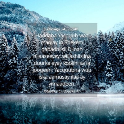 Picture 04 - Bilowgii 34:5 SOM - Haddaba Yacquub waa maqlay in Shekem gabadhiisii - Bible Verse Picture