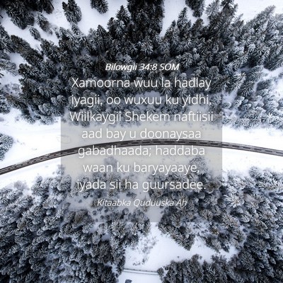 Picture 04 - Bilowgii 34:8 SOM - Xamoorna wuu la hadlay iyagii, oo wuxuu ku yidhi, - Bible Verse Picture