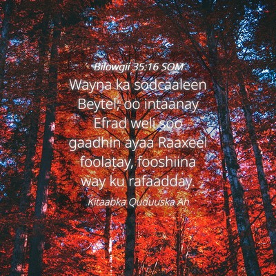 Picture 04 - Bilowgii 35:16 SOM - Wayna ka sodcaaleen Beytel; oo intaanay Efrad - Bible Verse Picture