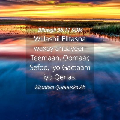 Picture 04 - Bilowgii 36:11 SOM - Wiilashii Elifasna waxay ahaayeen Teemaan, - Bible Verse Picture