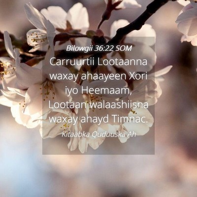 Picture 04 - Bilowgii 36:22 SOM - Carruurtii Lootaanna waxay ahaayeen Xori iyo - Bible Verse Picture