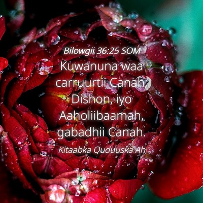Picture 04 - Bilowgii 36:25 SOM - Kuwanuna waa carruurtii Canah; Dishon, iyo - Bible Verse Picture