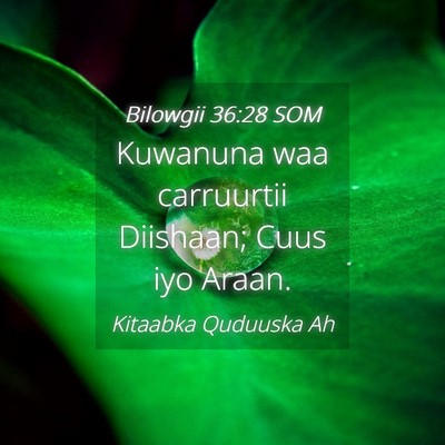 Picture 04 - Bilowgii 36:28 SOM - Kuwanuna waa carruurtii Diishaan; Cuus iyo - Bible Verse Picture