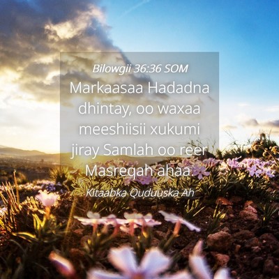 Picture 04 - Bilowgii 36:36 SOM - Markaasaa Hadadna dhintay, oo waxaa meeshiisii - Bible Verse Picture