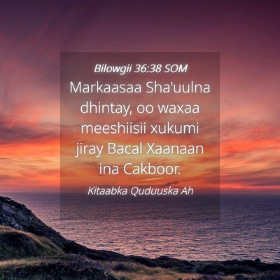 Picture 04 - Bilowgii 36:38 SOM - Markaasaa Sha'uulna dhintay, oo waxaa meeshiisii - Bible Verse Picture