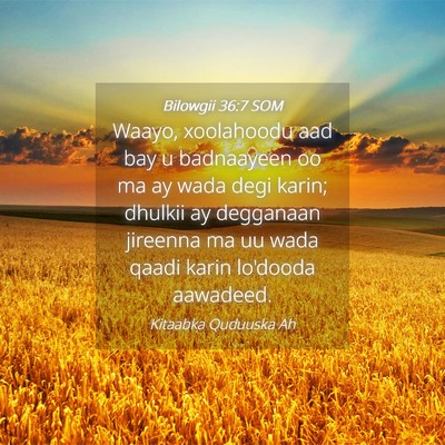 Picture 04 - Bilowgii 36:7 SOM - Waayo, xoolahoodu aad bay u badnaayeen oo ma ay - Bible Verse Picture