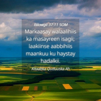 Picture 04 - Bilowgii 37:11 SOM - Markaasay walaalihiis ka masayreen isagii; - Bible Verse Picture