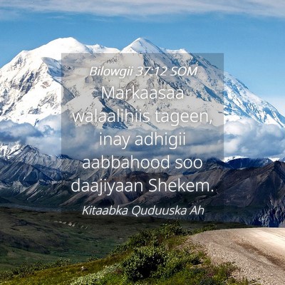 Picture 04 - Bilowgii 37:12 SOM - Markaasaa walaalihiis tageen, inay adhigii - Bible Verse Picture