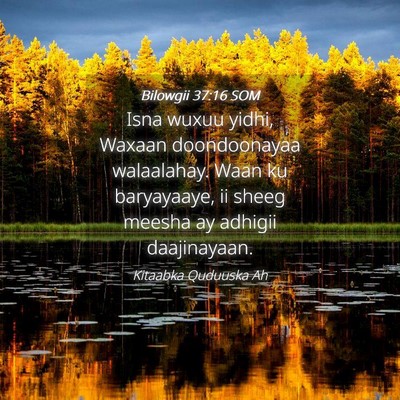 Picture 04 - Bilowgii 37:16 SOM - Isna wuxuu yidhi, Waxaan doondoonayaa walaalahay. - Bible Verse Picture