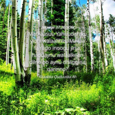 Picture 04 - Bilowgii 37:26 SOM - Markaasuu Yahuudah ku yidhi walaalihiis, Maxaa - Bible Verse Picture