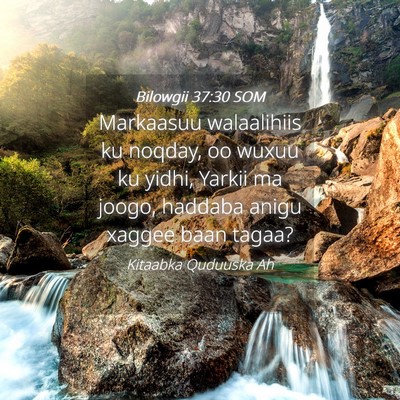 Picture 04 - Bilowgii 37:30 SOM - Markaasuu walaalihiis ku noqday, oo wuxuu ku - Bible Verse Picture