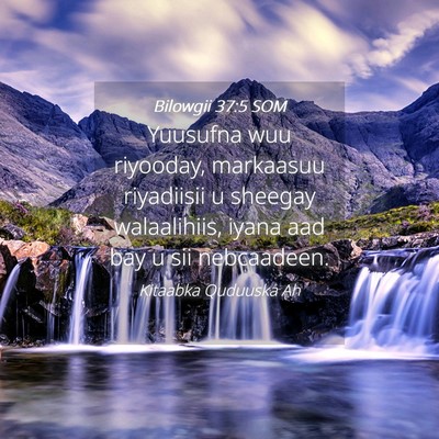 Picture 04 - Bilowgii 37:5 SOM - Yuusufna wuu riyooday, markaasuu riyadiisii u - Bible Verse Picture