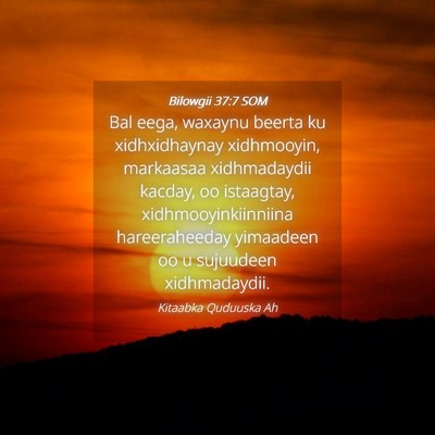 Picture 04 - Bilowgii 37:7 SOM - Bal eega, waxaynu beerta ku xidhxidhaynay - Bible Verse Picture