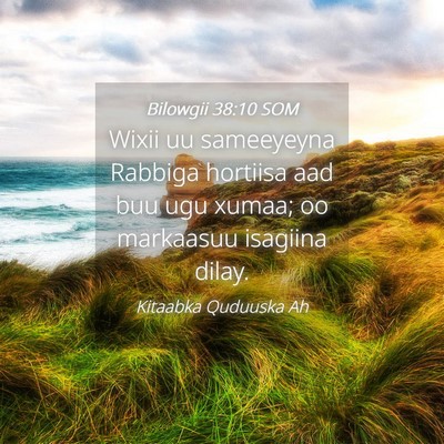 Picture 04 - Bilowgii 38:10 SOM - Wixii uu sameeyeyna Rabbiga hortiisa aad buu ugu - Bible Verse Picture