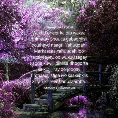 Picture 04 - Bilowgii 38:12 SOM - Wakhti dheer ka dib waxaa dhimatay Shuuca - Bible Verse Picture