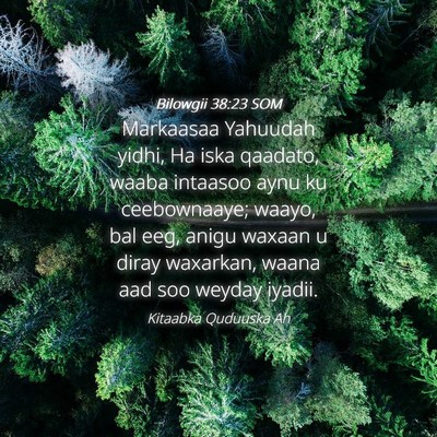 Picture 04 - Bilowgii 38:23 SOM - Markaasaa Yahuudah yidhi, Ha iska qaadato, waaba - Bible Verse Picture