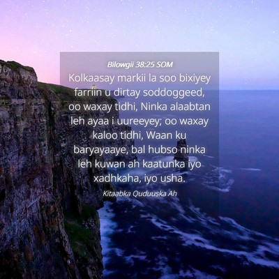 Picture 04 - Bilowgii 38:25 SOM - Kolkaasay markii la soo bixiyey farriin u dirtay - Bible Verse Picture
